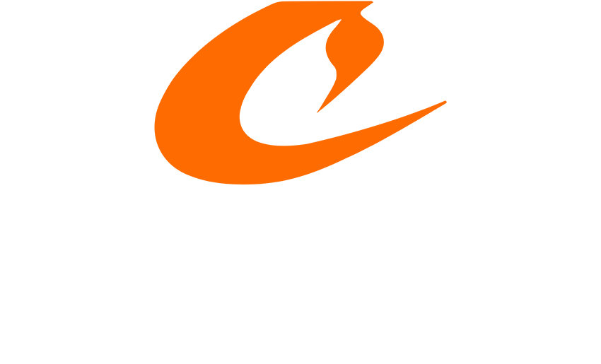 Copingra Pinturas